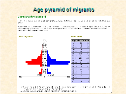 Age pyramid of migrants