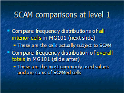 SCAM comparisons at level 1