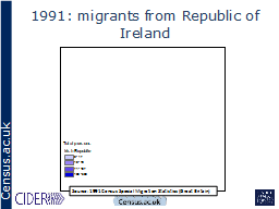 1991: migrants from Republic of Ireland
